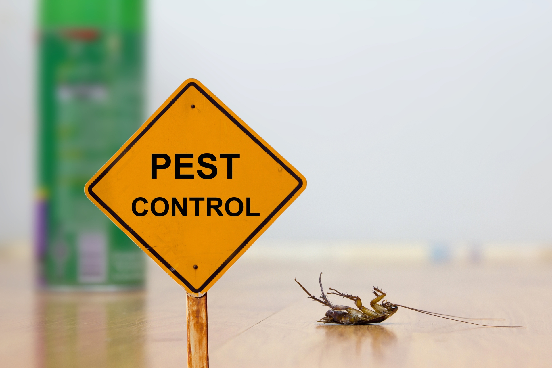 24 Hour Pest Control, Pest Control in Friern Barnet, New Southgate, N11. Call Now 020 8166 9746