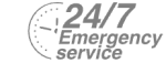 24/7 Emergency Service Pest Control in Friern Barnet, New Southgate, N11. Call Now! 020 8166 9746